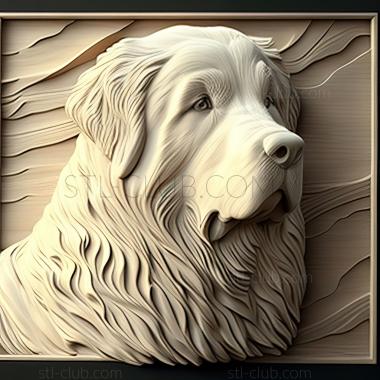 3D model st Pyrenean Mountain dog (STL)